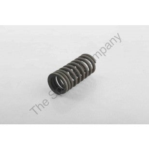 SPRING, VALVE INNER