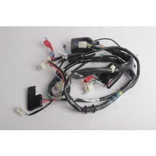 Hero Duet Hero Hunk Wiring Kit Price HARNESS WIRE – The Spares Company