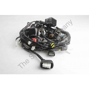 Karizma r 2025 wiring kit price