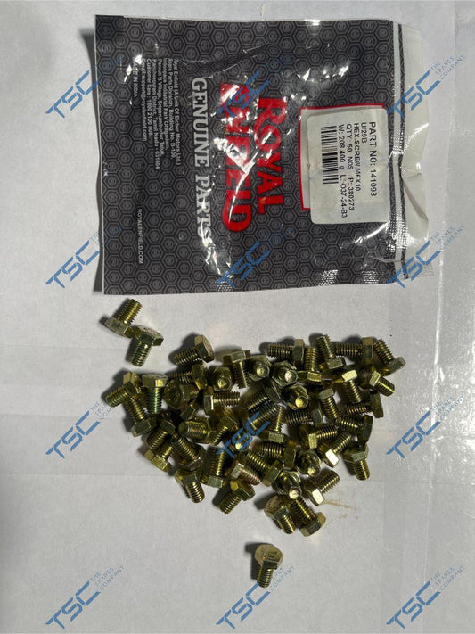 ROYAL ENFIELD_HEX.SCREW M6X10