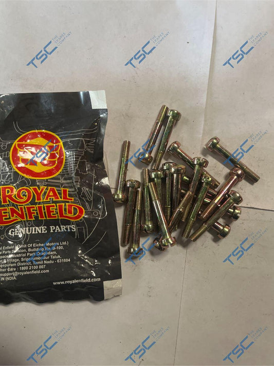 SLOTTED RAISED CHEESE HEAD SCREW.