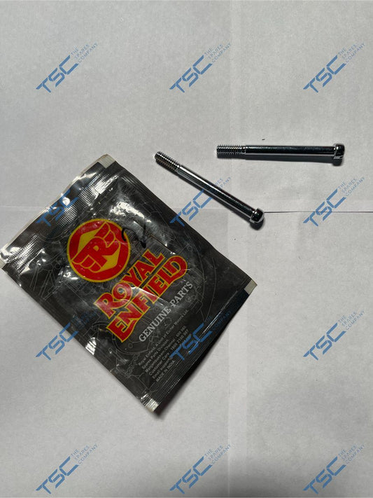 SLOTTED RAISED CH. HD.SCREW