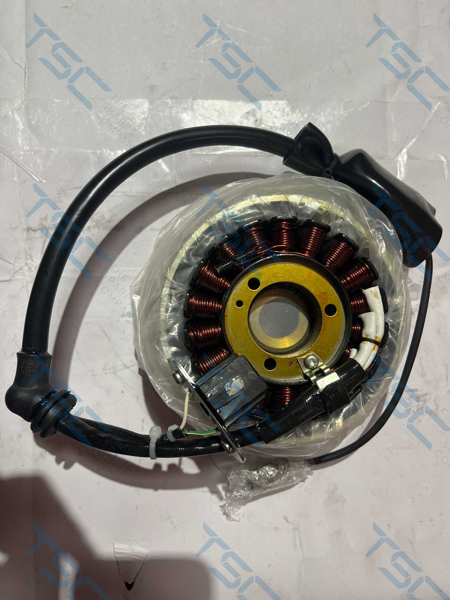 Magneto stator coil assy