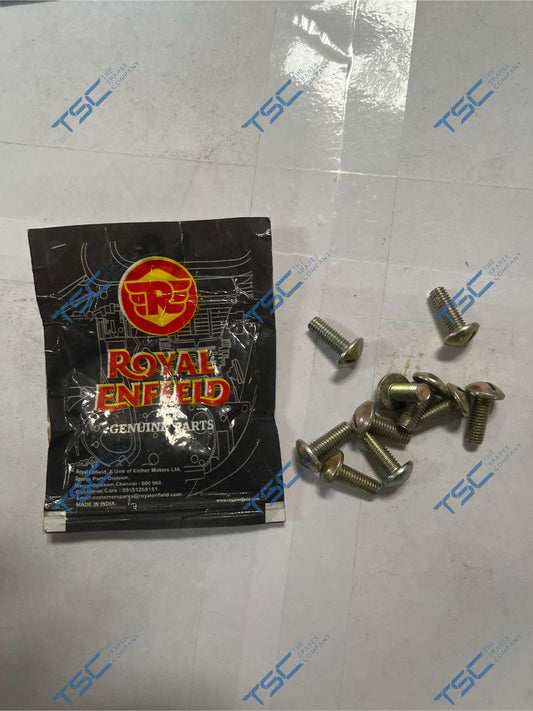SLOTTED ROUND HEAD SCREW M6 x 16