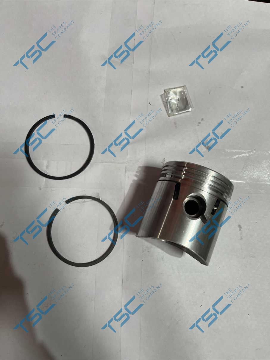PISTON & RINGS SET