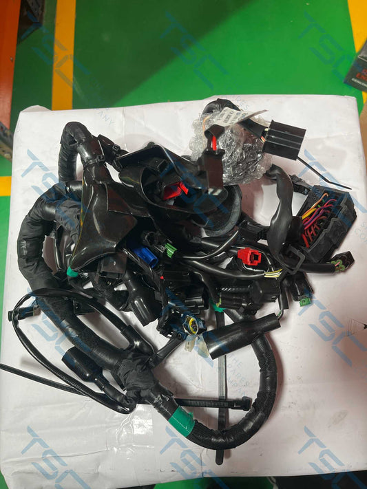 ROYAL ENFIELD_HARNESS MAIN CABLE