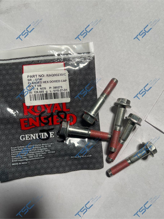 ROYAL ENFIELD_FLANGED HEX DOMED CAP BOLT M8