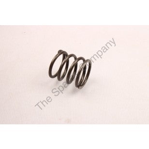 OIL PUMP DISC SPRING