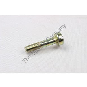 SLOTTED RAISED CHEESE HEAD SCREW