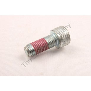 BOLT S S - T1 FORK ASSY